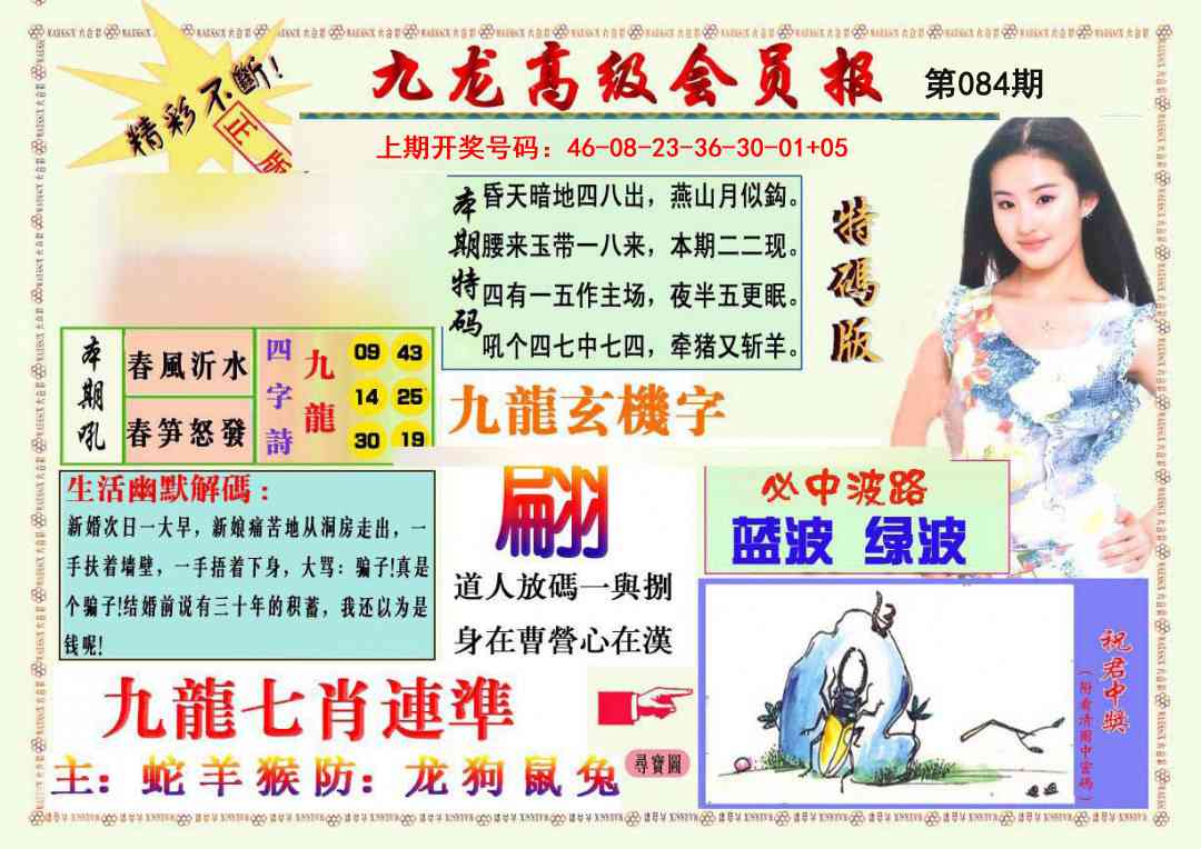 084期九龙高级会员报[图]